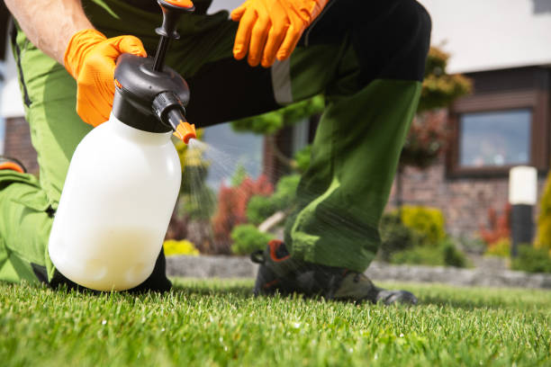 Best Cockroach Control Services  in Gridley, IL