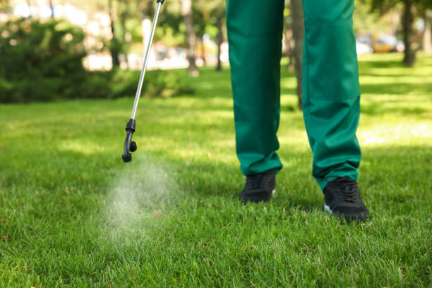 Best Flea Control Services  in Gridley, IL