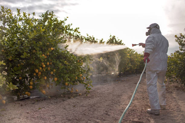 Best Cockroach Control Services  in Gridley, IL