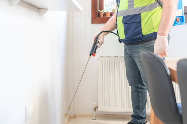Best Ant Control Services  in Gridley, IL