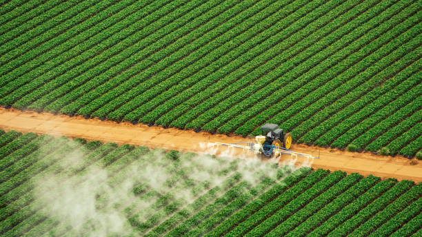 Best Pest Prevention Services  in Gridley, IL