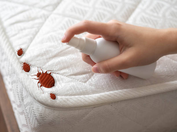 Best Pest Removal Services  in Gridley, IL