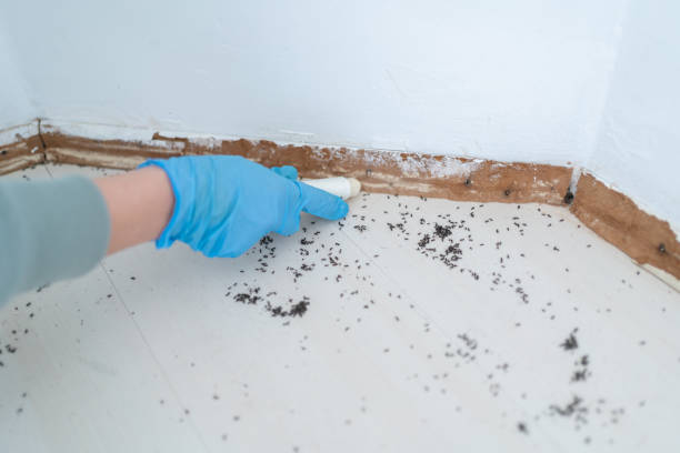 Pest Control Cost in Gridley, IL